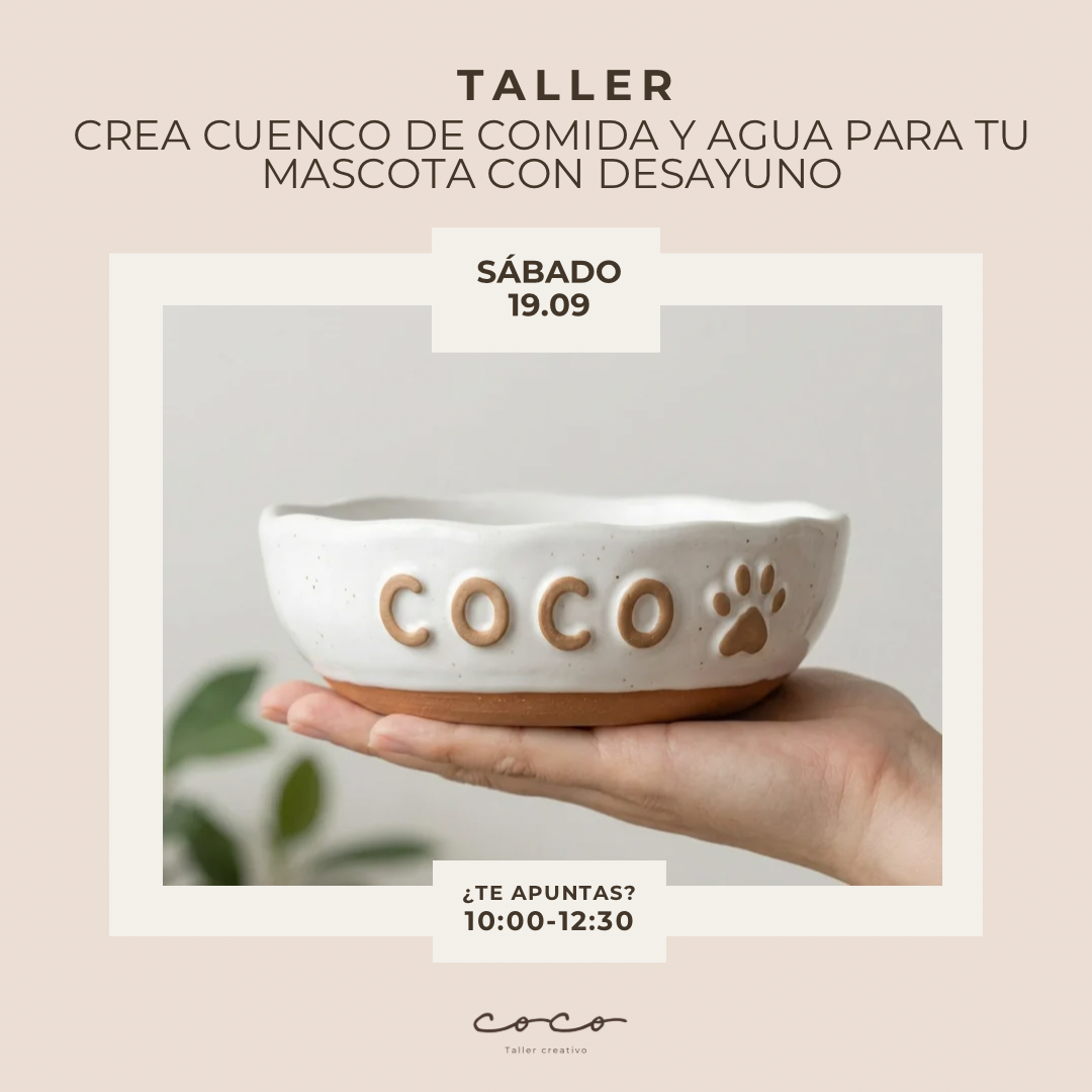 CREA CUENCO DE COMIDA Y AGUA PARA TU MASCOTA 19.09